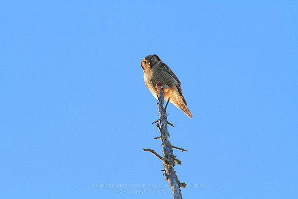 1207 - B - On a vantage point II