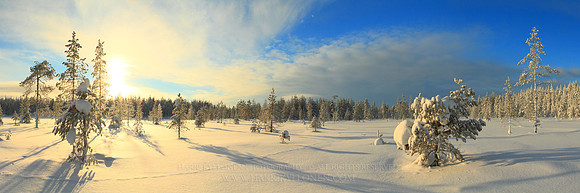 0483 - A - Tiny tracks on powder - HD