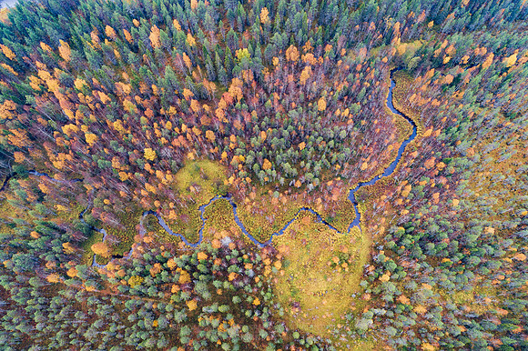 1909 - Creek of colours