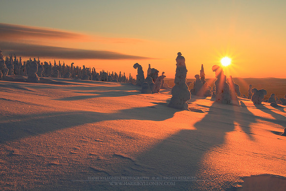 1196 - B - Long shadows on crystal snow III