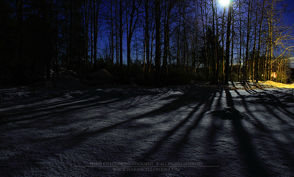 0398 - B - Shadows of the moon