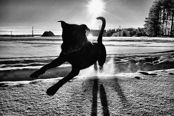 0297 - B - Jump