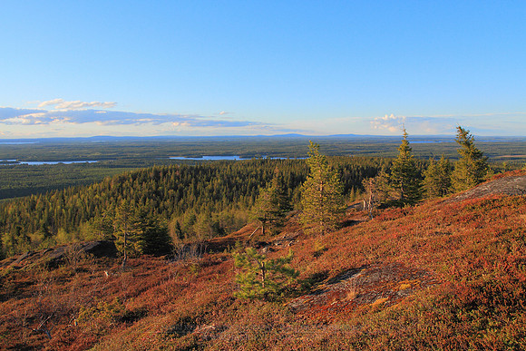 0975 - B - Ground colours on Iivaara