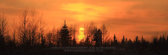0219 - B - Sun panorama