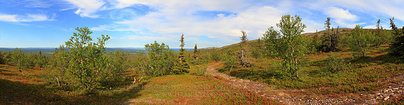 1380 - Pyhätunturi hiking trail