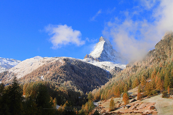 0957 - A - Early winter view III