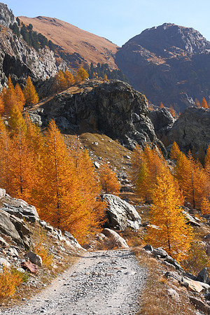 1179 - A - Mountain path autumn colours