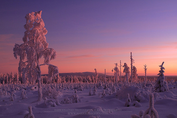 1239 - B - Marjovaara at kaamos light