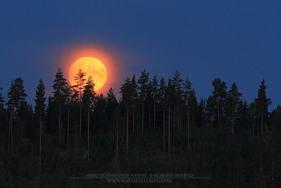 0407 - B - Moon behind the trees