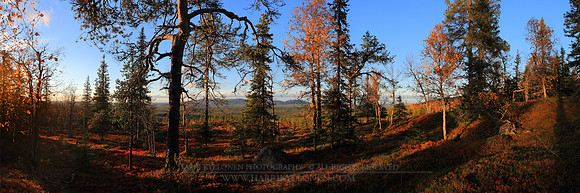 0707 - B - Javarustunturi hide-out - HD