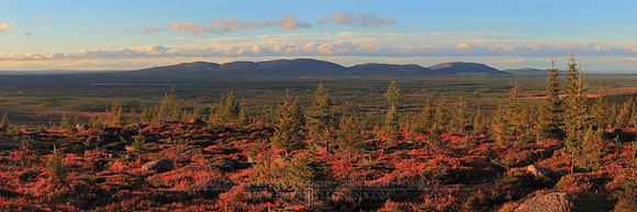 0709 - A - Ground colours - HD