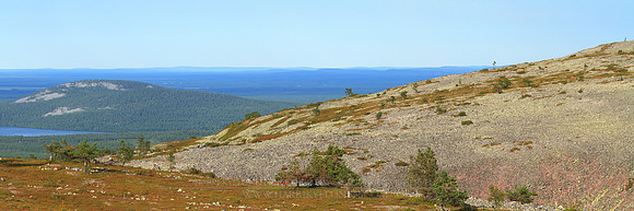 1294 - B - Peurakuru - HD