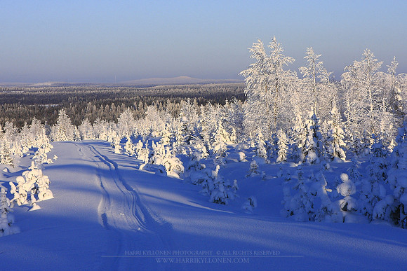 0337 - A - Winter landscape