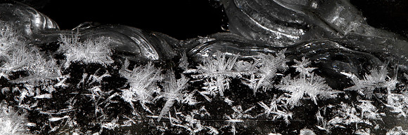 0729 - B - Art of nature