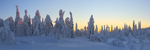 0739 - A - Last light through - HD