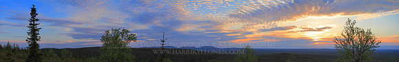 1367 - Colors of summer night