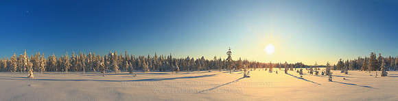 1341 - Winter sun