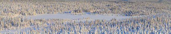 1342 - Winter view