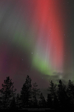 0689 - A - Read aurora stream