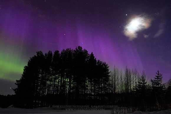 0748 - A - Purple Auroras