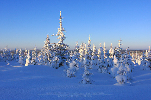 0338 - A - Winter landscape II