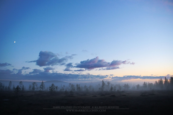 0401 - B - Swamp