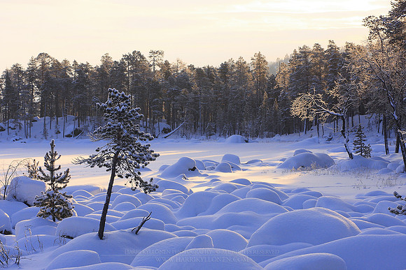 0328 - B - Soft snow cover