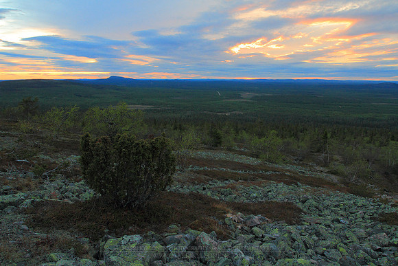 1094 - B - Lonely juniper on Noitatunturi