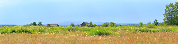 1707 - Barns at meadow in Suvanto