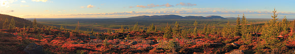 1414 - Fjeld autumn colors