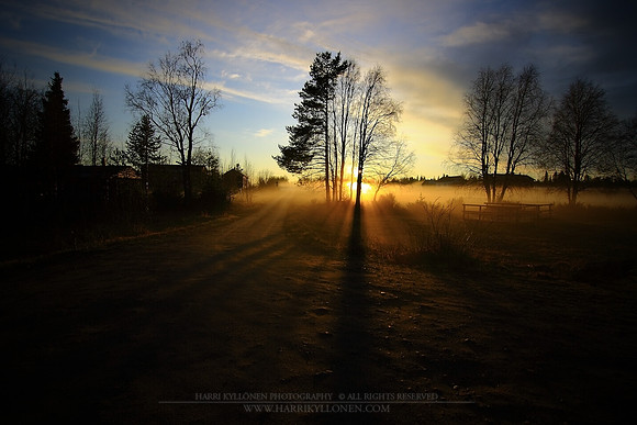 0770 - A - Golden mist IV