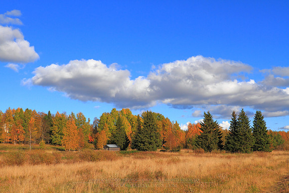 0869 - B - Autumn colours in Haukiniemi