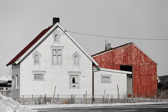1537 - Old house