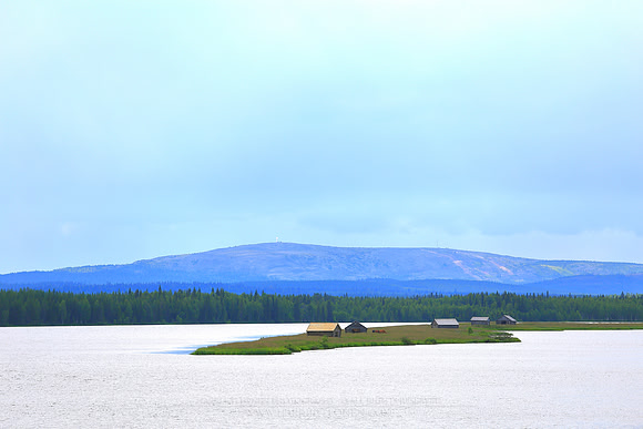 1448 - Horse meadow at Suvanto