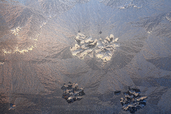 1452 - Ice flowers on window II