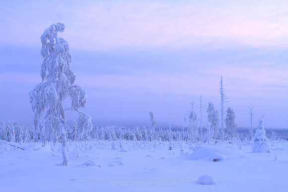 0870 - B - Kaamos day