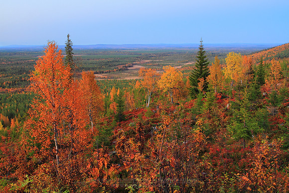 0916 - B - Autumn colours on Javarustunturi