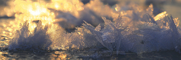 1506 - Snowflakes on ice - HD