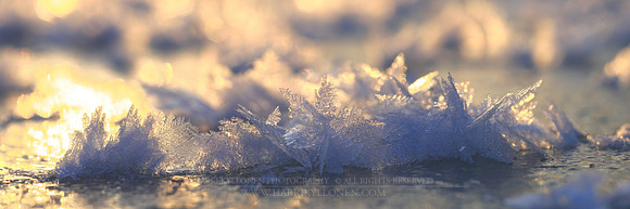 1507 - Snowflakes on ice II - HD