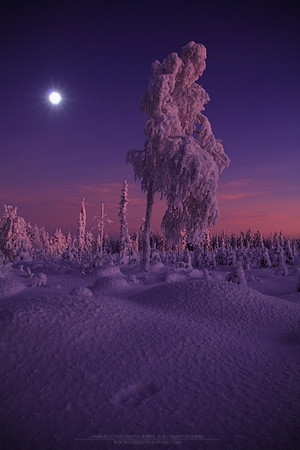 0921 - A - Kaamos light and moon II