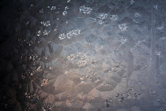 1454 - Ice flowers on window