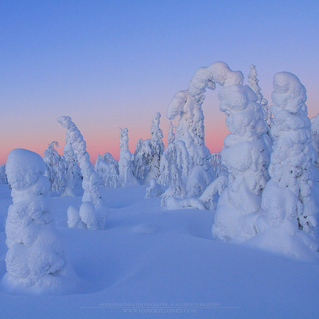 1690 - Winter World