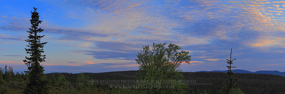 1368 - Colors of summer night II