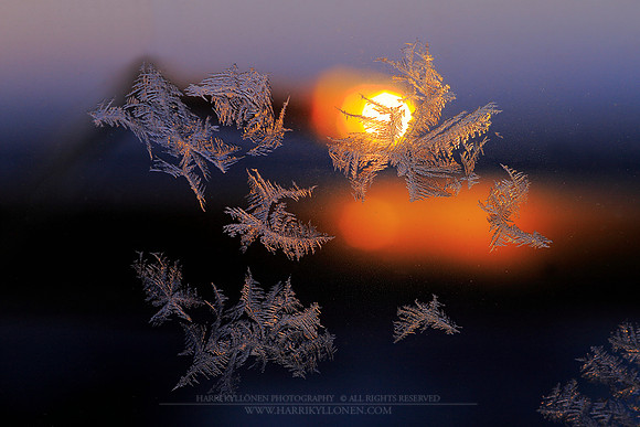1449 - Ice and lamp II