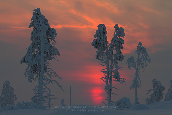 0874 - A - Burning winter sun