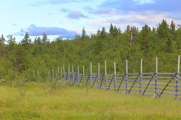 1470 - Old Snow Fence