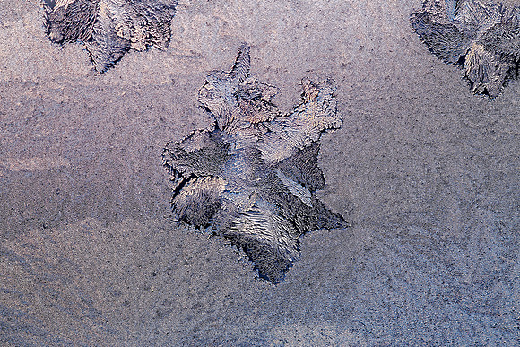 1451 - Ice flower