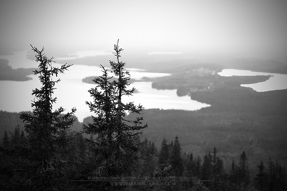0808 - B - Rainy view from Iivaara
