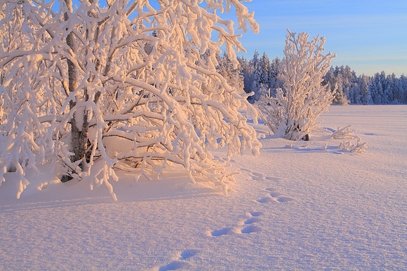0925 - B - First tracks