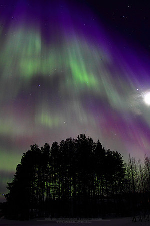 0931 - A - Auroras up high